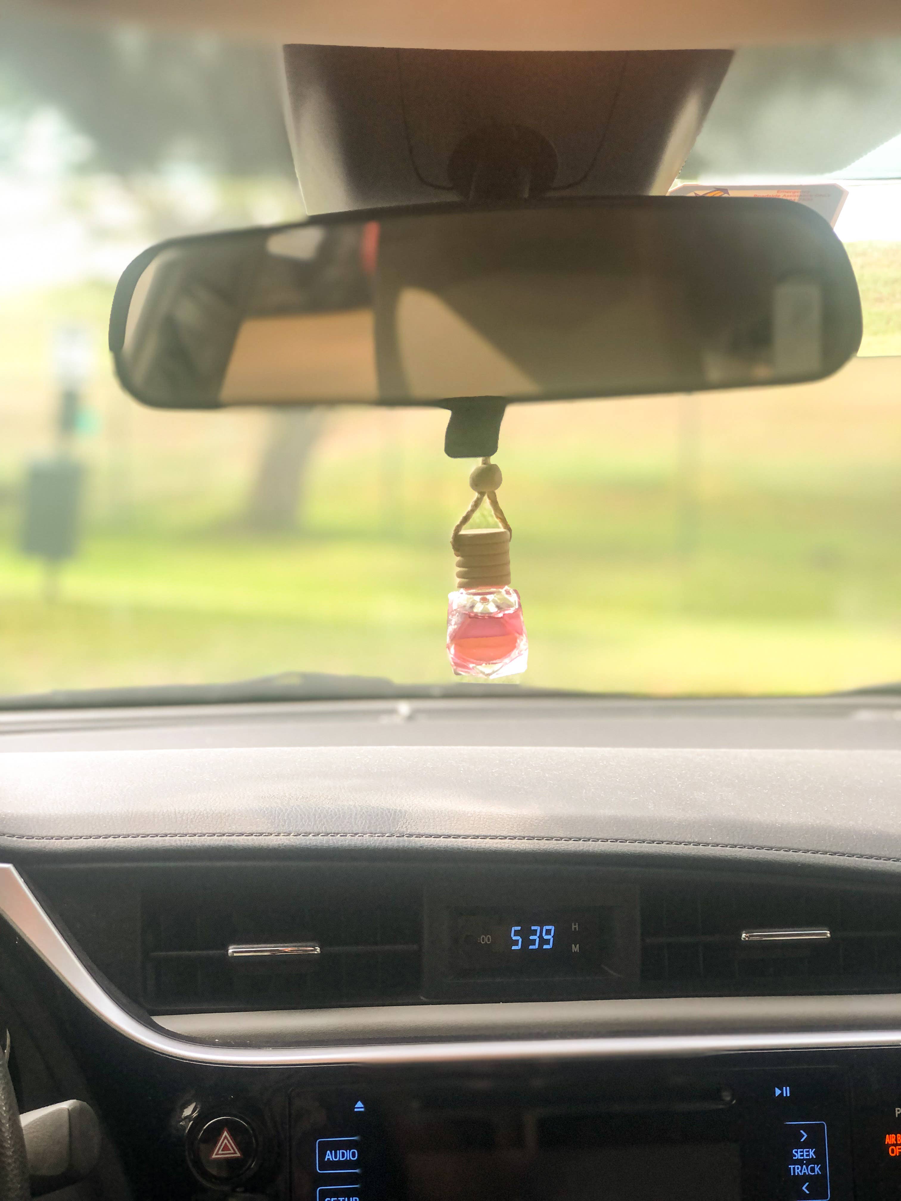 Car Diffuser Hanging, Car Freshener: Pink / Watermelon Lemonade
