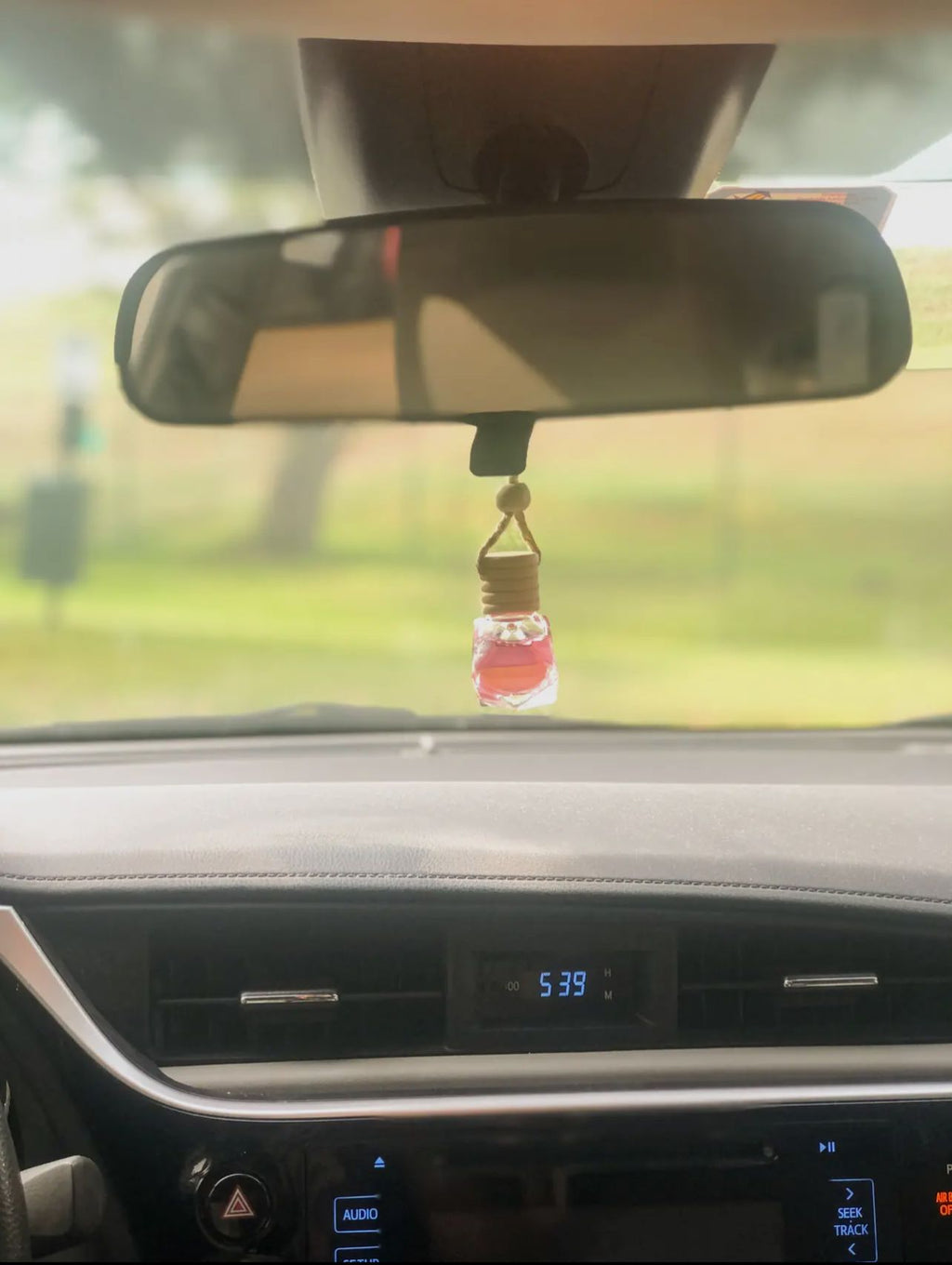 Hanging Car Diffuser